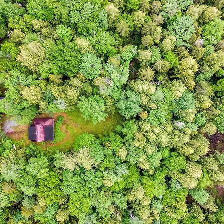 Lost Pond Cabin Schroon Lake Exterior foto